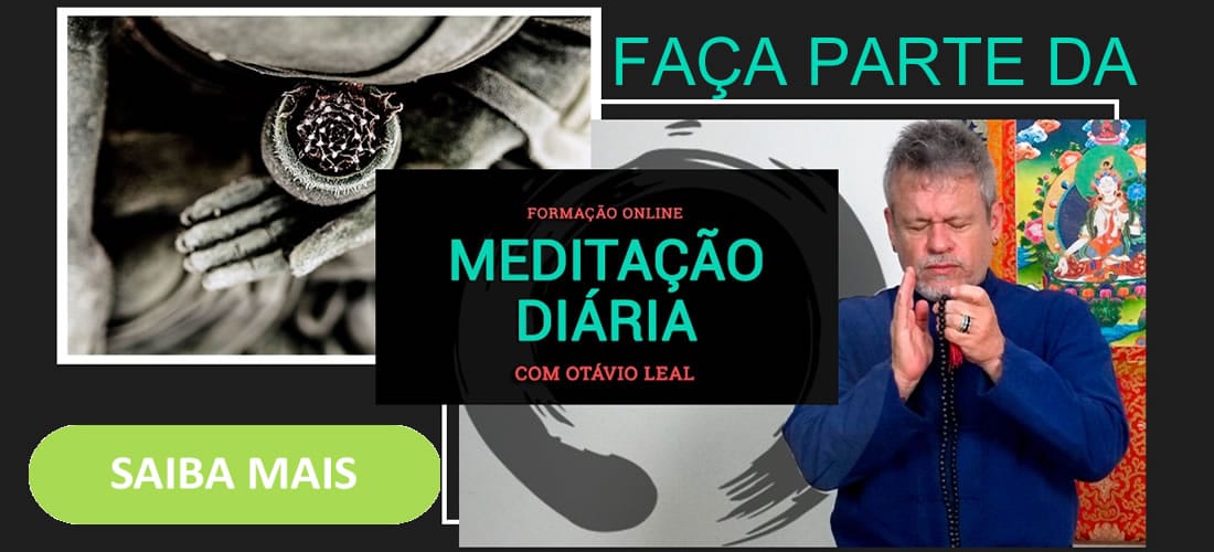 meditação diária com otavio leal
