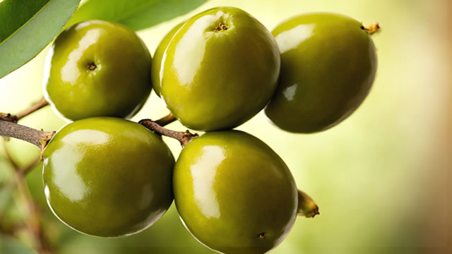 As Azeitonas S&atilde;o Ricas em Antioxidantes