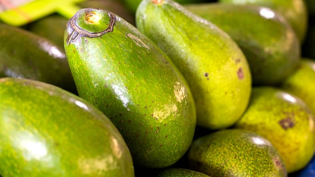 Benefícios do abacate para o bem-estar Benefícios do abacate para saúde
