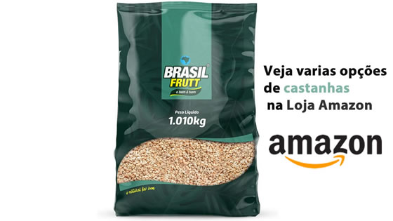 vitaminas do caju para o organismos Benefícios do caju para o organismos