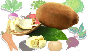 Os dez Benefícios do Cupuaçu