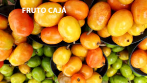 Os Oito Benefícios do Cajá