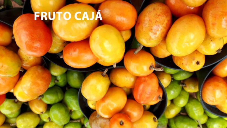 Os Oito Benefícios do Cajá