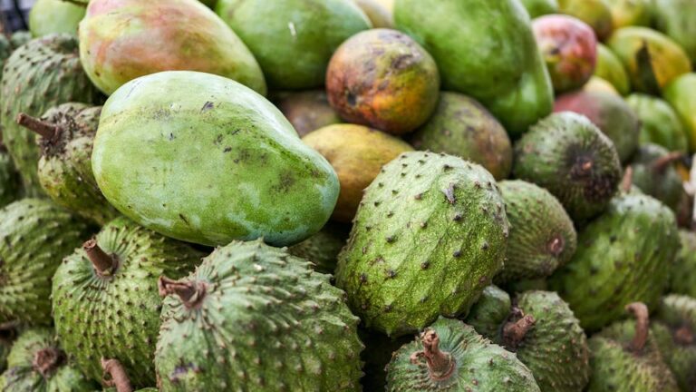 8 Benefícios das Anonáceas Frutas Tropicais