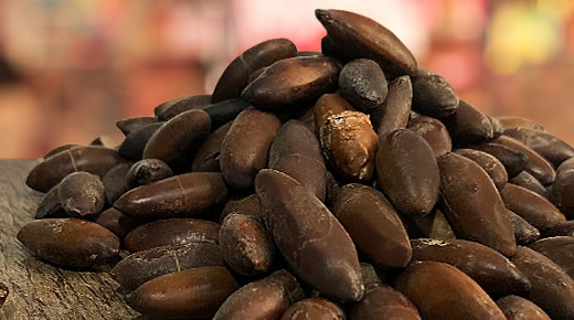 Castanha de Baru em Antioxidantes do bem Benefícios da Castanha de Baru em Antioxidantes