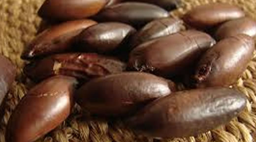 Castanha de Baru Boa para os Ossos Benefícios da Castanha de Baru para os Ossos