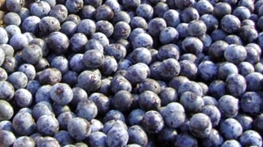 Bacaba Benefícios Anti-inflamatórios Os benefícios anti-inflamatórios da fruta