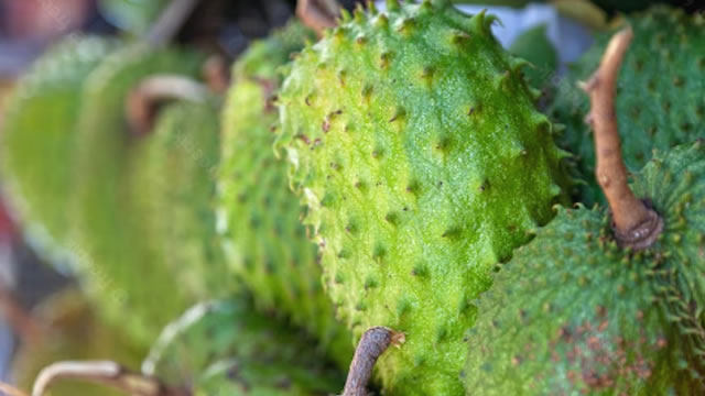 Frutas Anonáceas As Frutas Anonáceas Promovem a Digestão