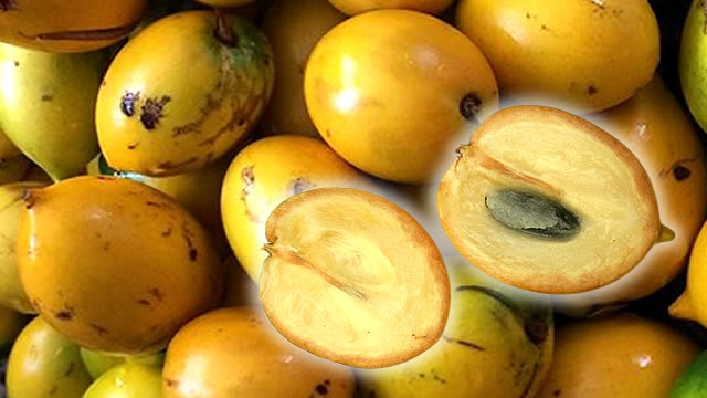 Benef&iacute;cios da Abiu na Perda de Peso