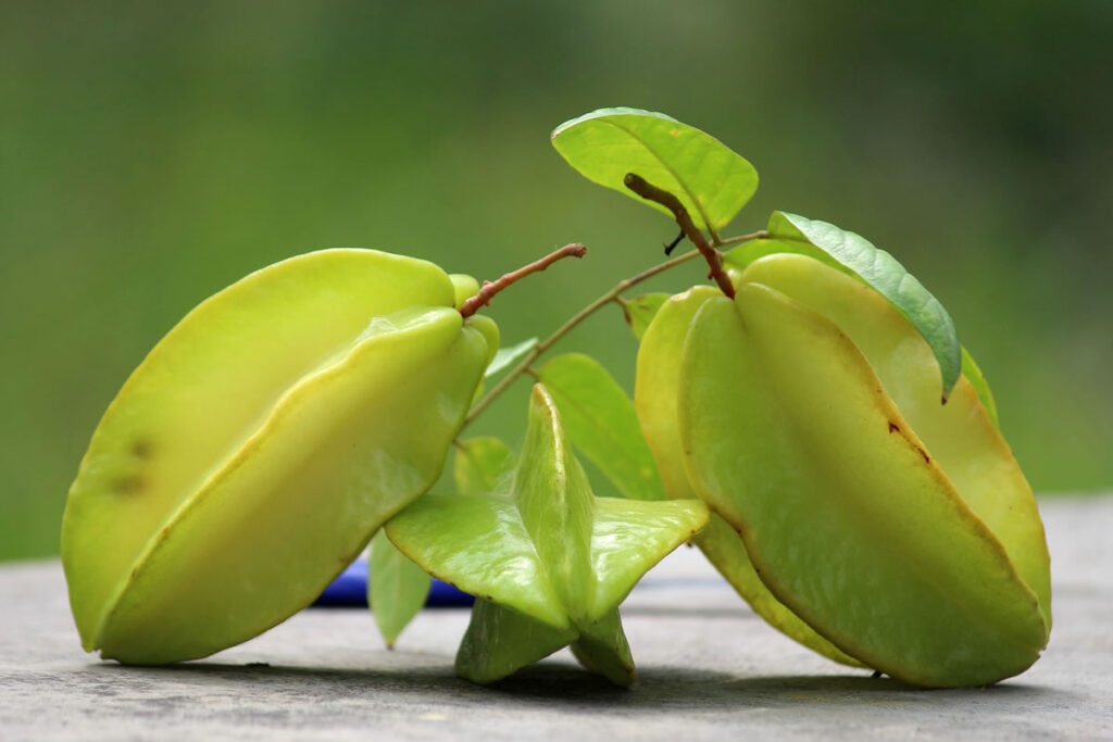 Os principais benefícios da carambola