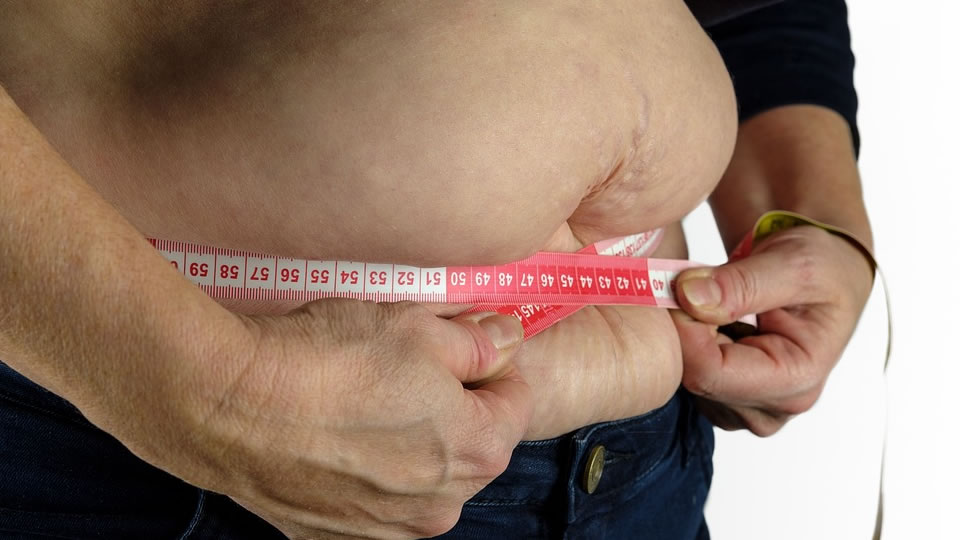 benef&iacute;cios do cambuc&aacute; para obesidade