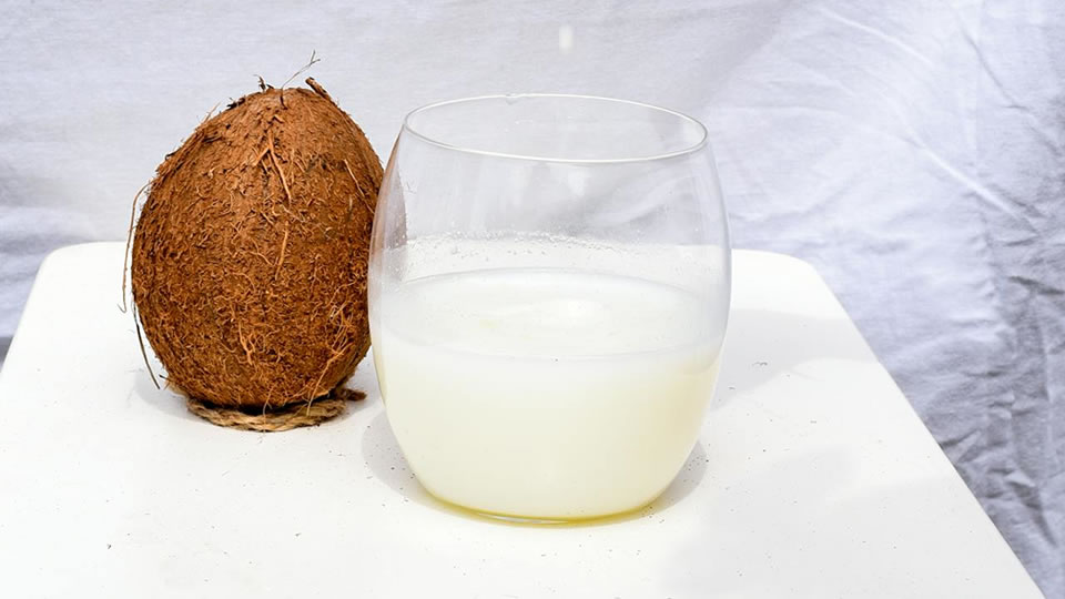 Benefícios da Gorduras Saudáveis da Farinha de Coco