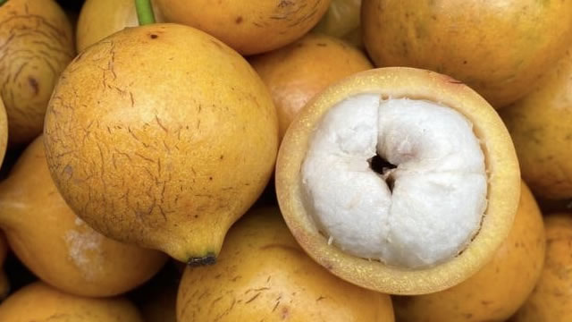 A Fruta Bacuri possui Regeneração Celular