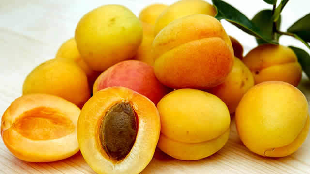 os benefícios da fruta damasco