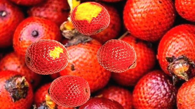 Ele beneficia o bem-estar cardiovascular O fruto buriti auxilia no bem-estar cardiovascular