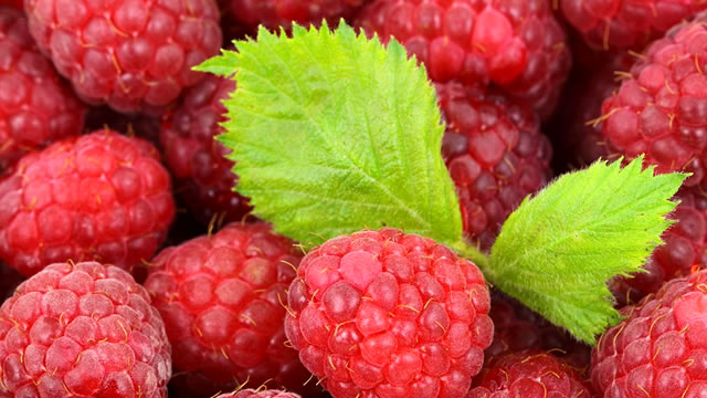 A fruta framboesa ajuda na melhora na artrite
