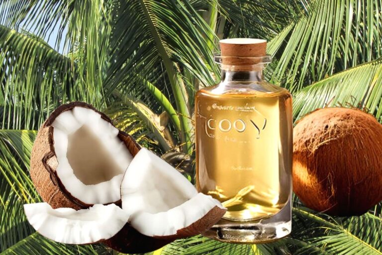 Os benefícios do óleo de coco