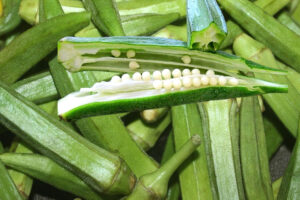 Os tipos de quiabo existentes no mundo