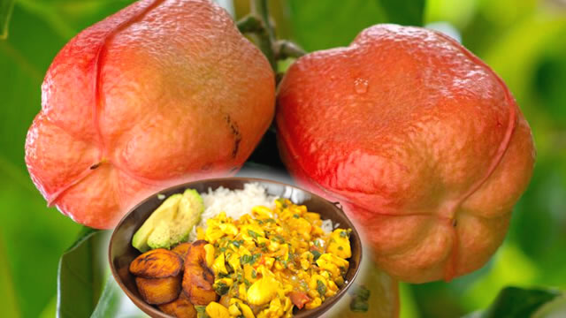 A fruta ackee possui colágeno em sua composição