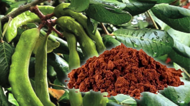 A alfarroba ajuda na perda de peso