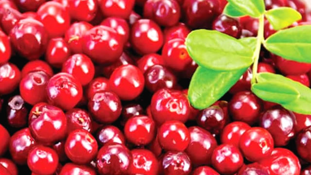 A fruta arando ajuda a prevenir o envelhecimento precoce