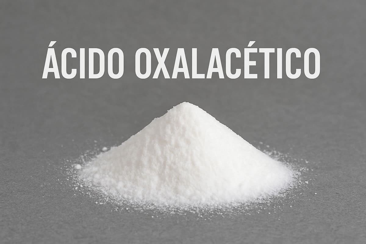 Saiba o que é ácido oxalacético e sua importância