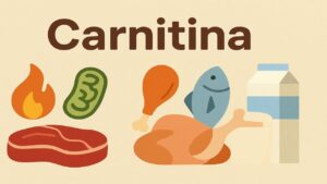 Saiba para que serve a carnitina e seus benefícios