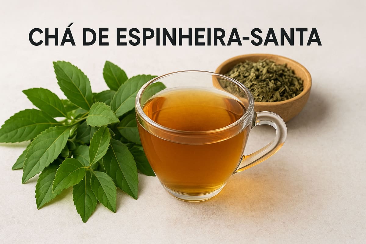 Saiba para que serve o chá de espinheira-santa